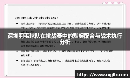 深圳羽毛球队在挑战赛中的默契配合与战术执行分析